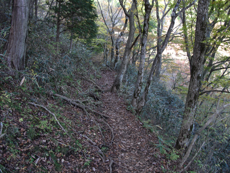 20181102hike (236)